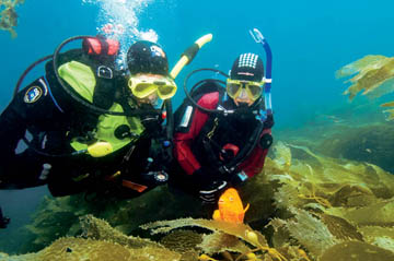 scdivers.jpg scdivers.jpg