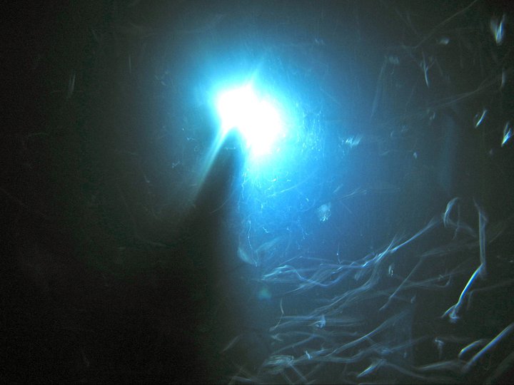 rivieramaya/night.jpg