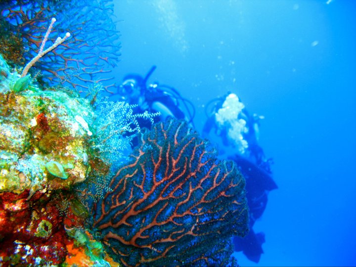 rivieramaya/wall.jpg