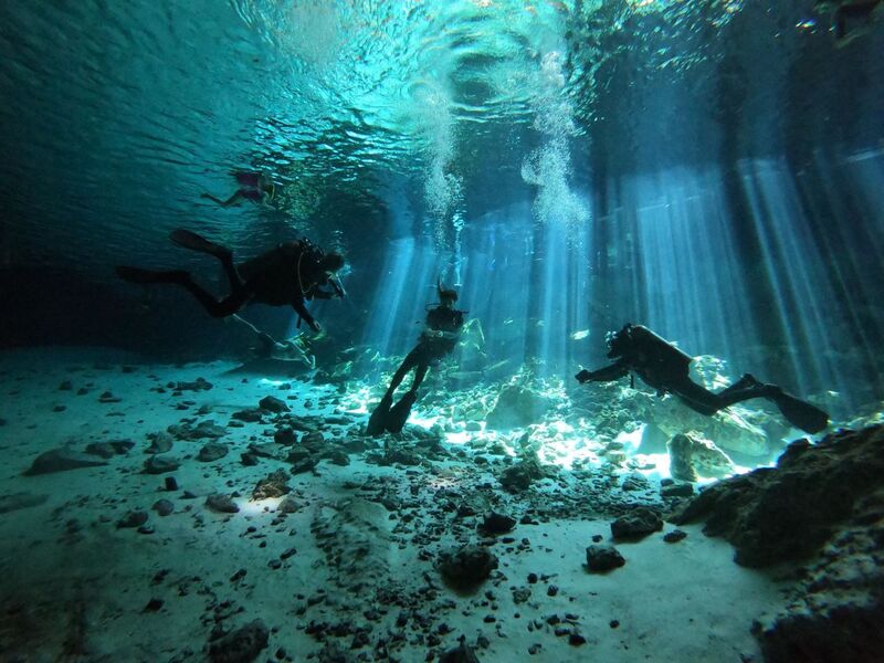 Diving in Cenote